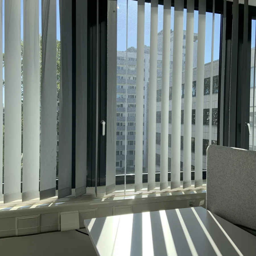 Vertical Blinds_4